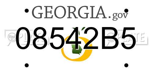 08542B5 Georgia License Plate