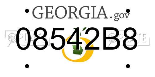 08542B8 Georgia License Plate