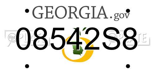 08542S8 Georgia License Plate