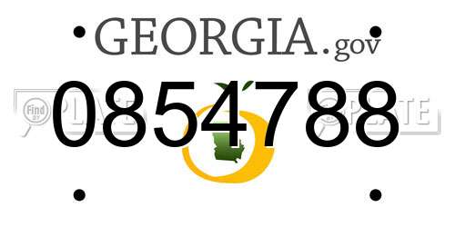 0854788 Georgia License Plate