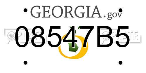 08547B5 Georgia License Plate