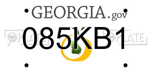 085KB1 Georgia License Plate