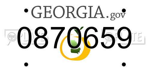 0870659 Georgia License Plate