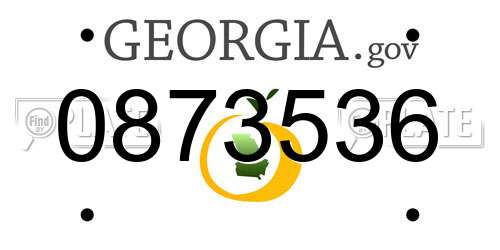 0873536 Georgia License Plate