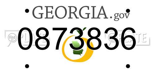 0873836 Georgia License Plate