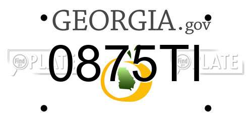 0875TI Georgia License Plate