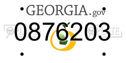 0876203 Georgia License Plate