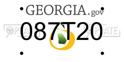 087T20 Georgia License Plate