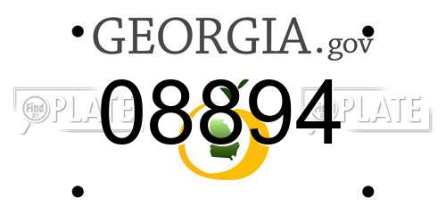 08894 Georgia License Plate