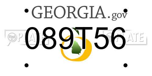 089T56 Georgia License Plate
