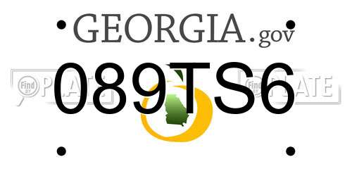 089TS6 Georgia License Plate
