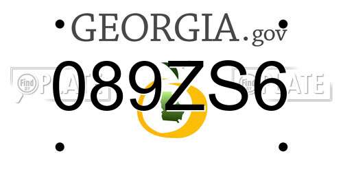 089ZS6 Georgia License Plate