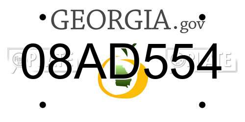 08AD554 Georgia License Plate