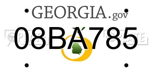 08BA785 Georgia License Plate
