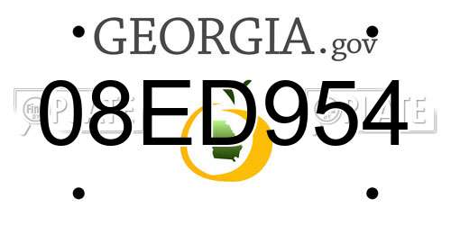 08ED954 Georgia License Plate