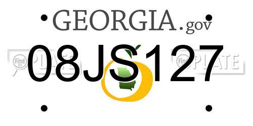 08JS127 Georgia License Plate