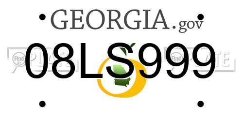 08LS999 Georgia License Plate