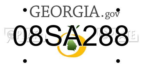 08SA288 Georgia License Plate