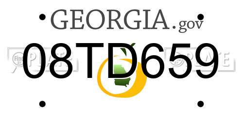 08TD659 Georgia License Plate