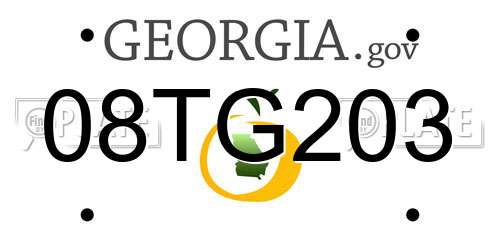 08TG203 Georgia License Plate