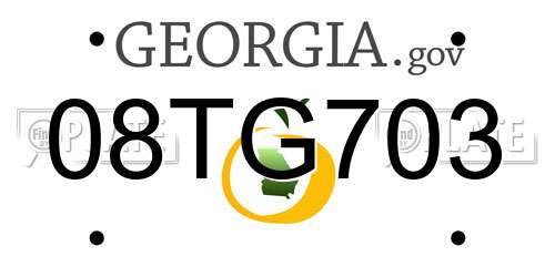 08TG703 Georgia License Plate