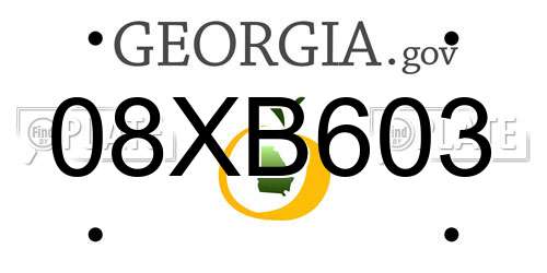 08XB603 Georgia License Plate