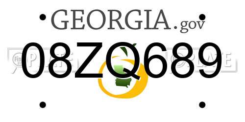 08ZQ689 Georgia License Plate