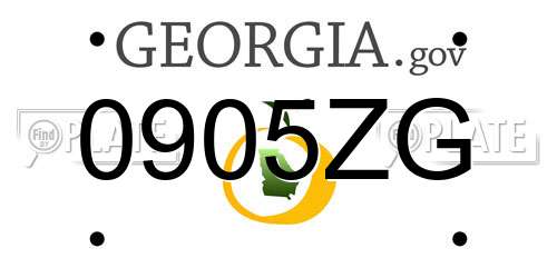 0905ZG Georgia License Plate