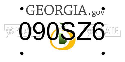 090SZ6 Georgia License Plate