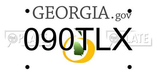 090TLX Georgia License Plate