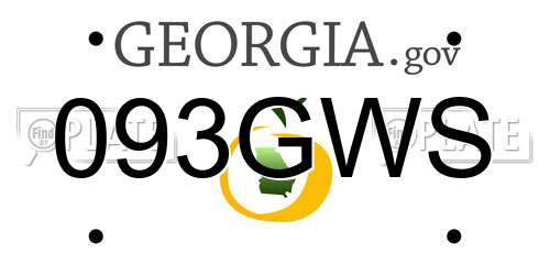 093GWS Georgia License Plate