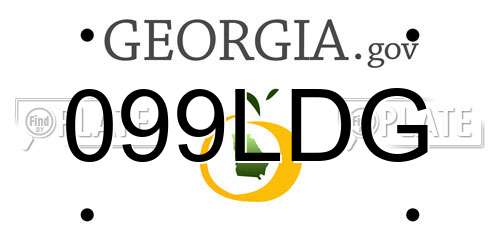 099LDG Georgia License Plate