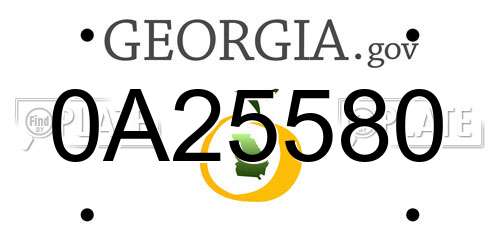 0A25580 Georgia License Plate