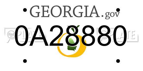 0A28880 Georgia License Plate