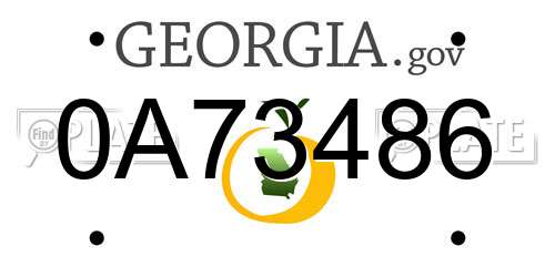 0A73486 Georgia License Plate