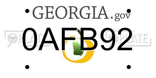0AFB92 Georgia License Plate