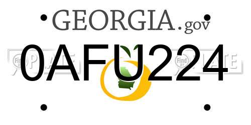 0AFU224 Georgia License Plate