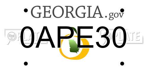 0APE30 Georgia License Plate