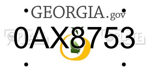 0AX8753 Georgia License Plate