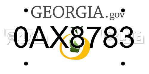 0AX8783 Georgia License Plate