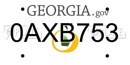 0AXB753 Georgia License Plate