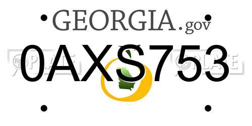 0AXS753 Georgia License Plate