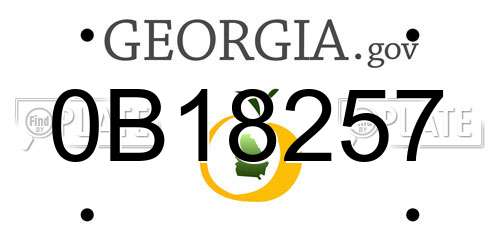 0B18257 Georgia License Plate