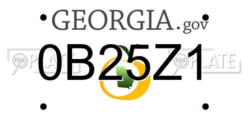 0B25Z1 Georgia License Plate