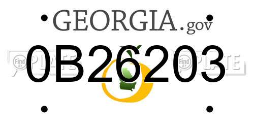 0B26203 Georgia License Plate
