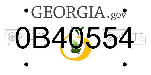 0B40554 Georgia License Plate