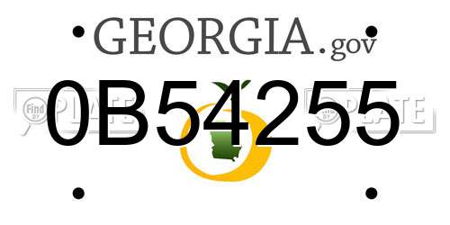 0B54255 Georgia License Plate