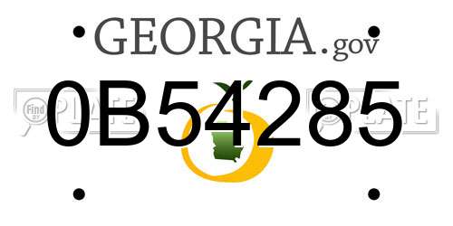 0B54285 Georgia License Plate