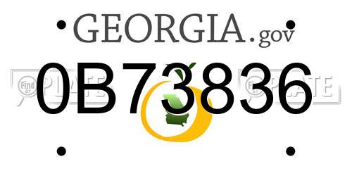 0B73836 Georgia License Plate