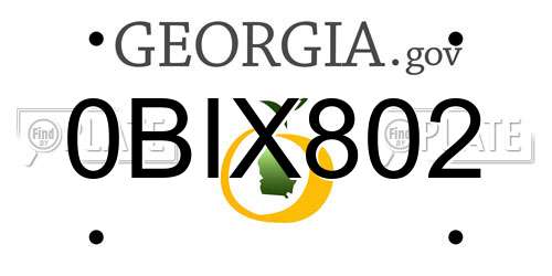 0BIX802 Georgia License Plate
